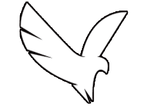 Ameizze logo footer
